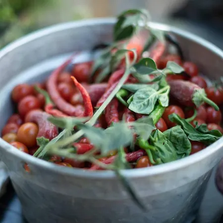 Lantgård Da Angelo By Mmega Acquaviva Picena